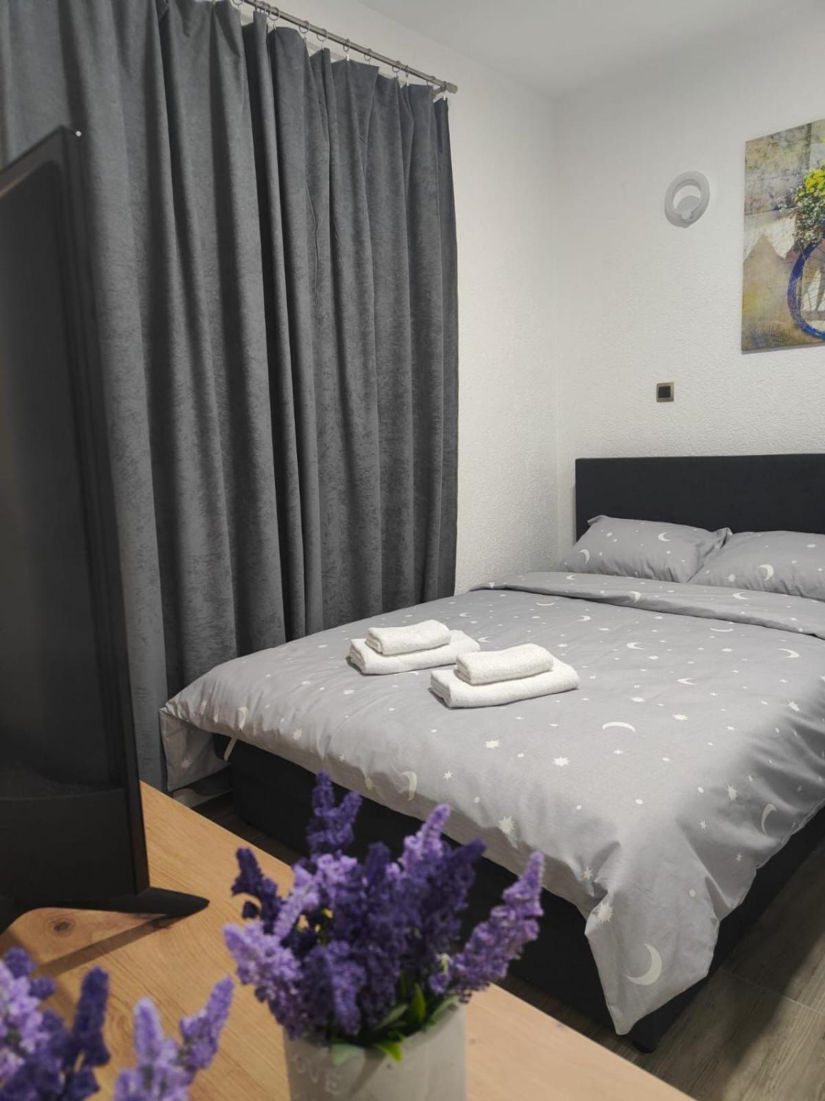 Apartment Braca Kovacevic *