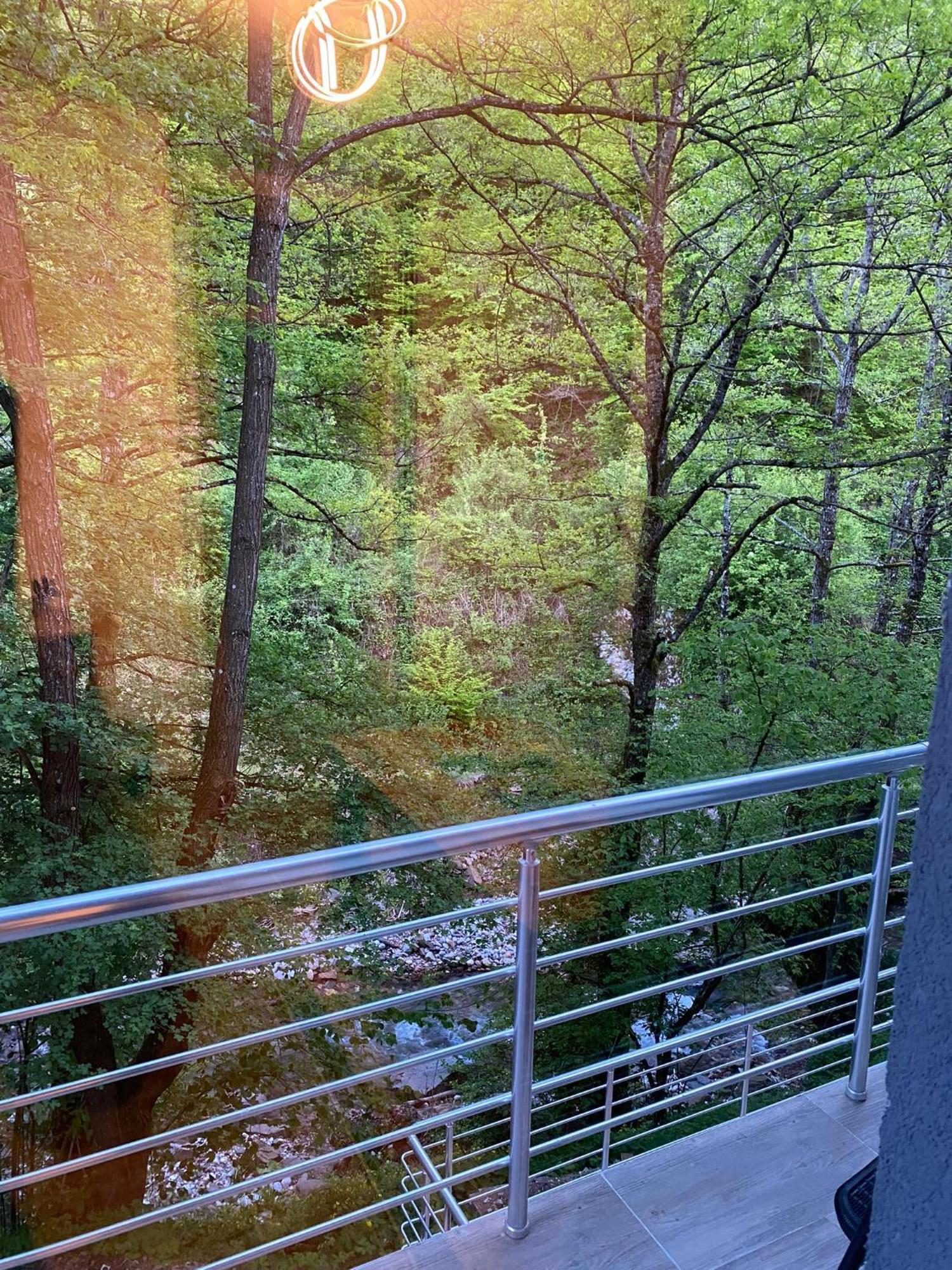 Apartment Braca Kovacevic *
